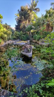 2024-01-GranCan-Jardin_de_la_Marquesa-046.jpg